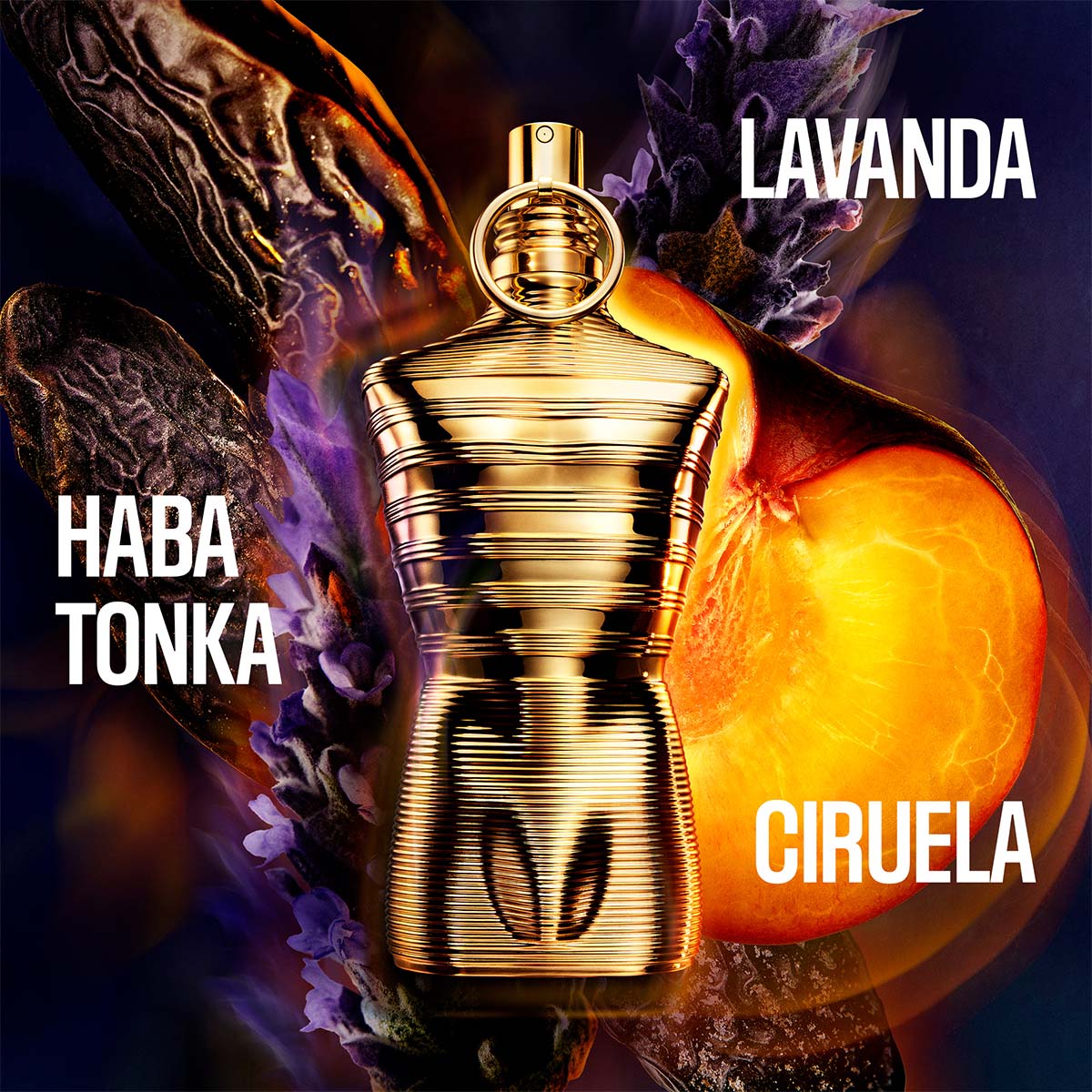 LE MALE ELIXIR ABSOLU PARFUM